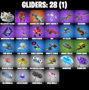 gliders-comp