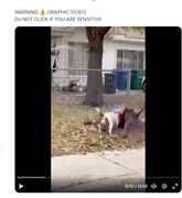 Screenshot Capture - 2023-09-16 - 02-45-57