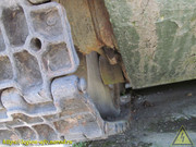 IMG-5541