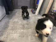 70242FF7-1A85-4EEA-A950-8F779223C319