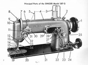 307g.jpg