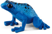 21 - Blue poison dart frog