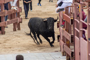 IMG-0119