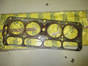 IMG-5068.jpg