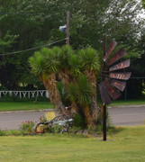 DSC-0021