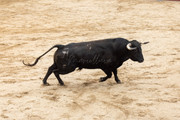 IMG-0180