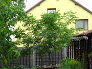 [Obrázky: DSC02666-1.jpg]