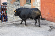 IMG-0054