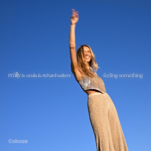 VA - Feeling Something (2026) MP3