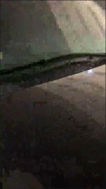 [Image: 1Face011629101734.jpg]