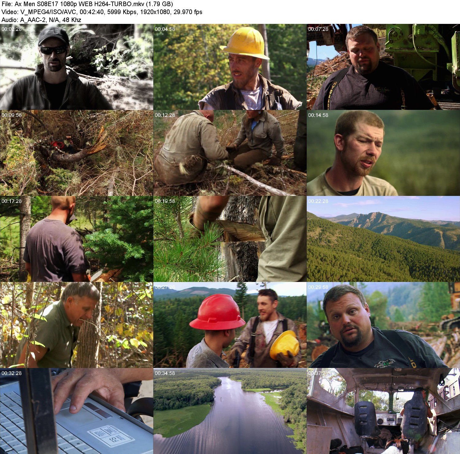 [Image: kzvtbtzo8775.jpg]