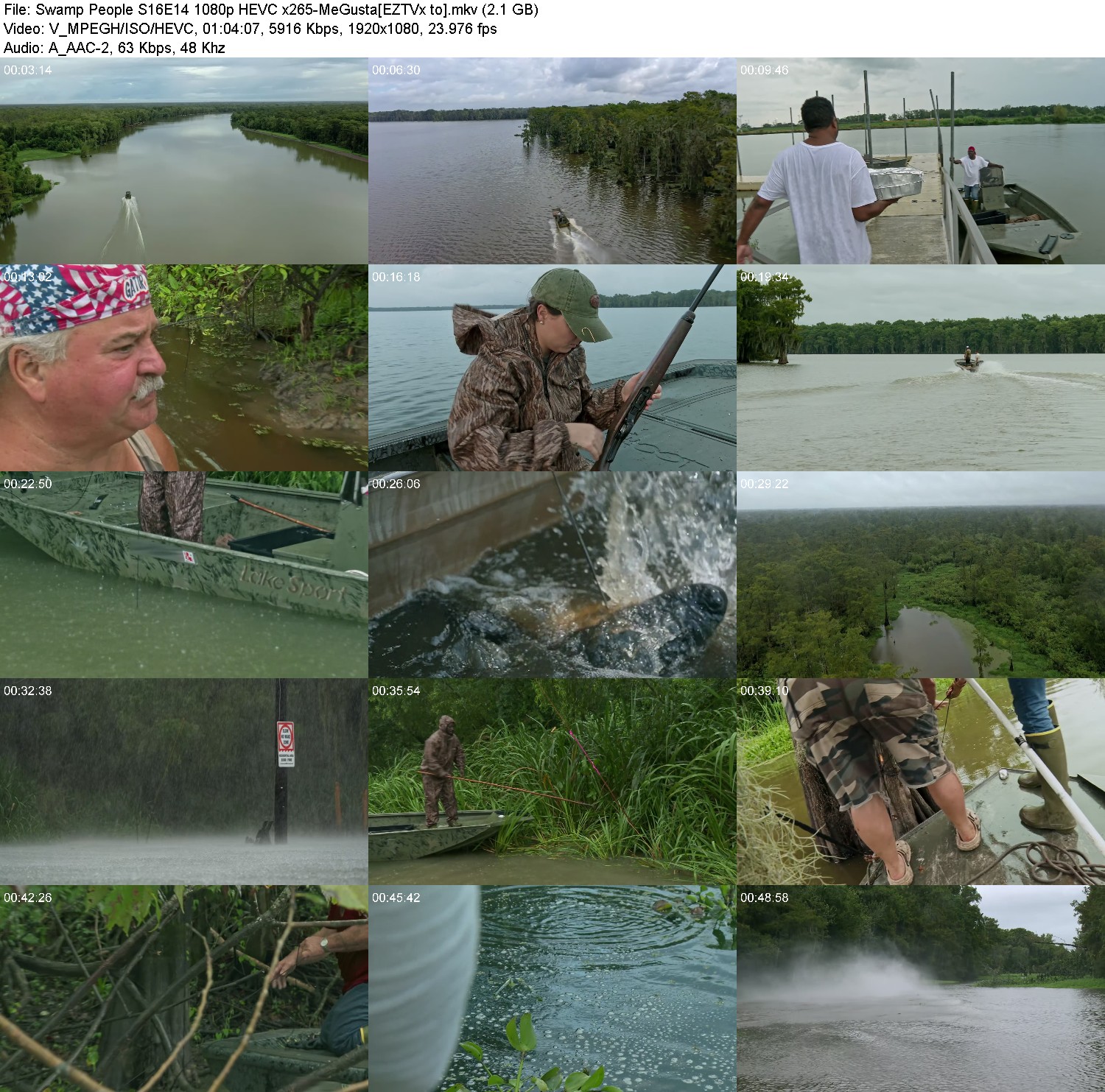 [Image: rgn6yks97u2g.jpg]