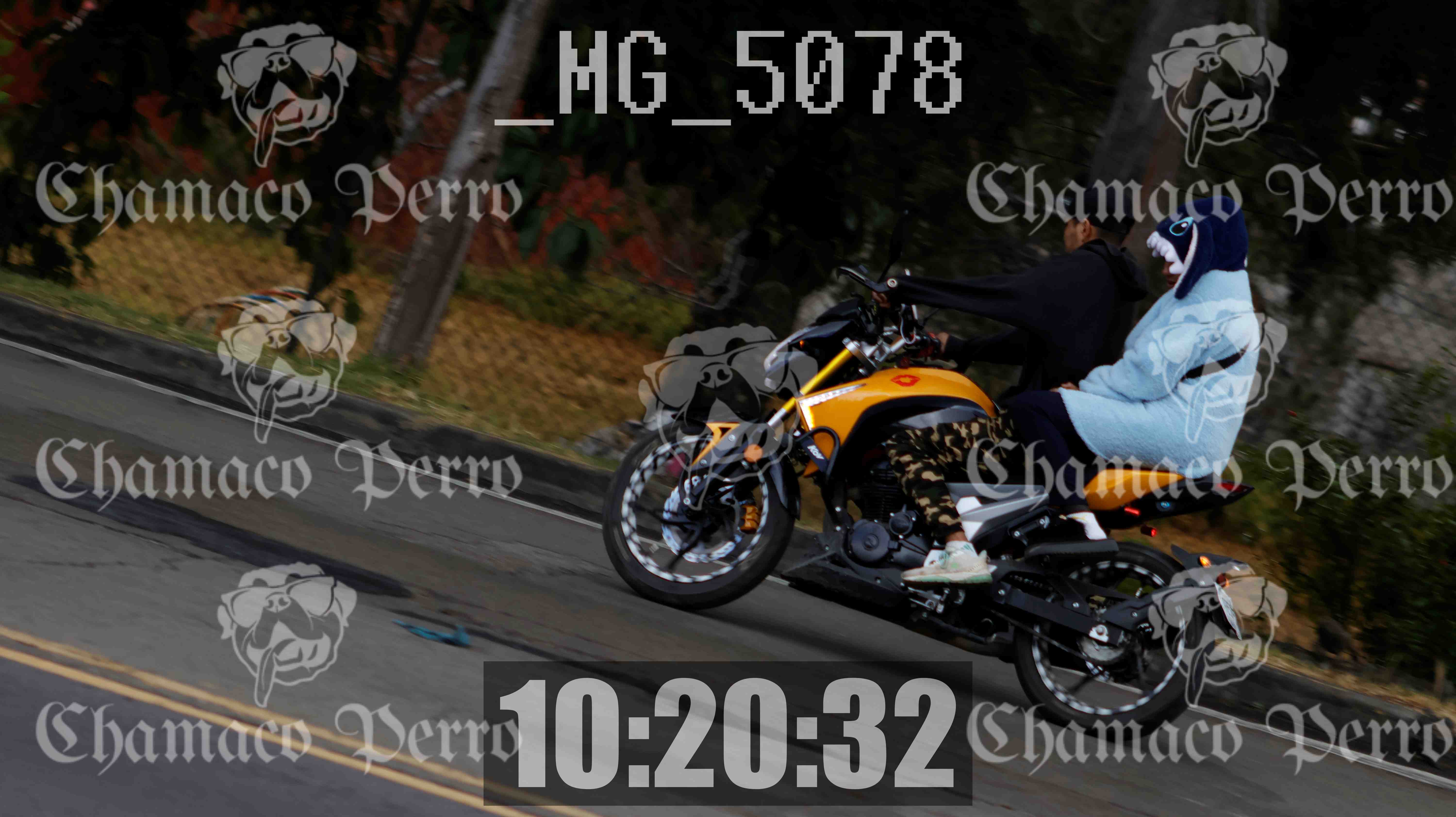 MUESTRA MG 5078 — Postimages