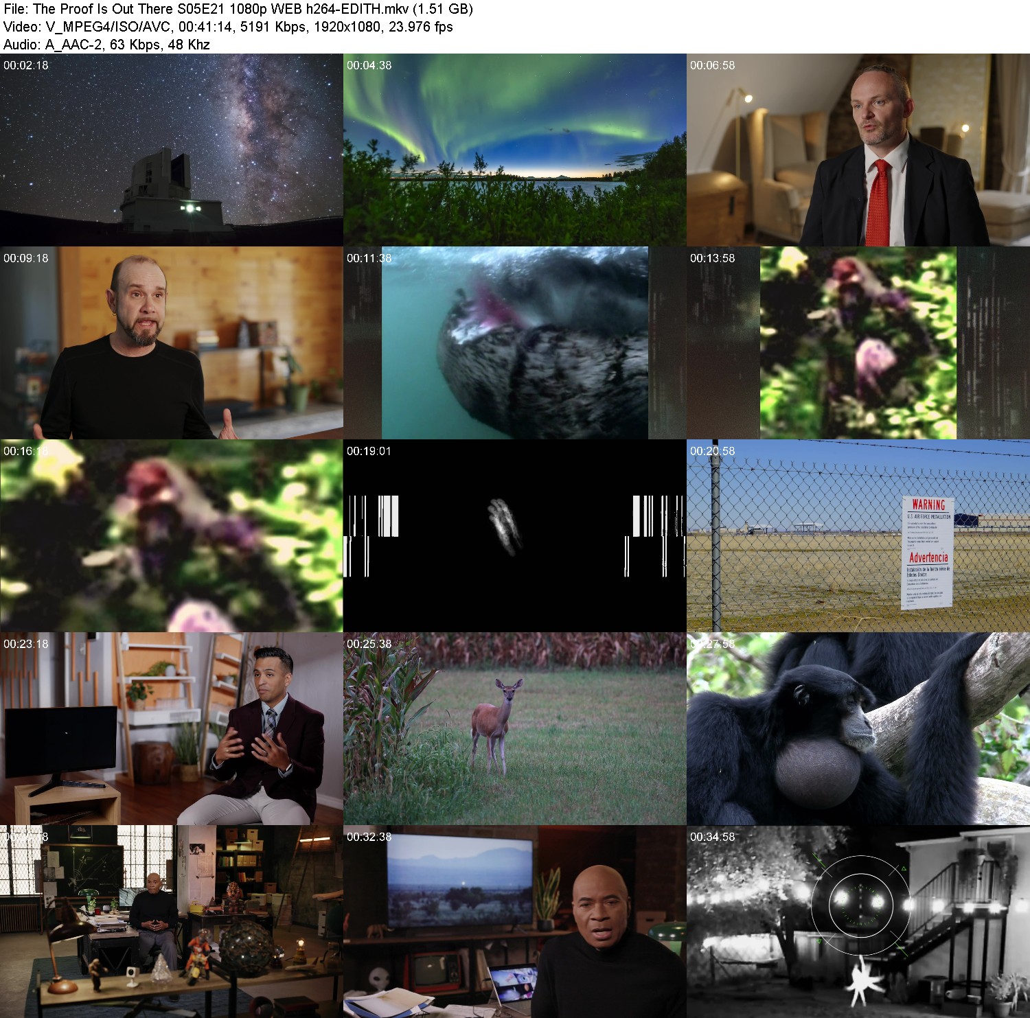 [Image: oe2bw7uf5v2o.jpg]