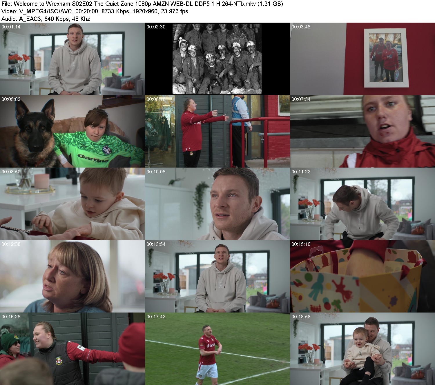 [Image: u494q1qxdynf.jpg]