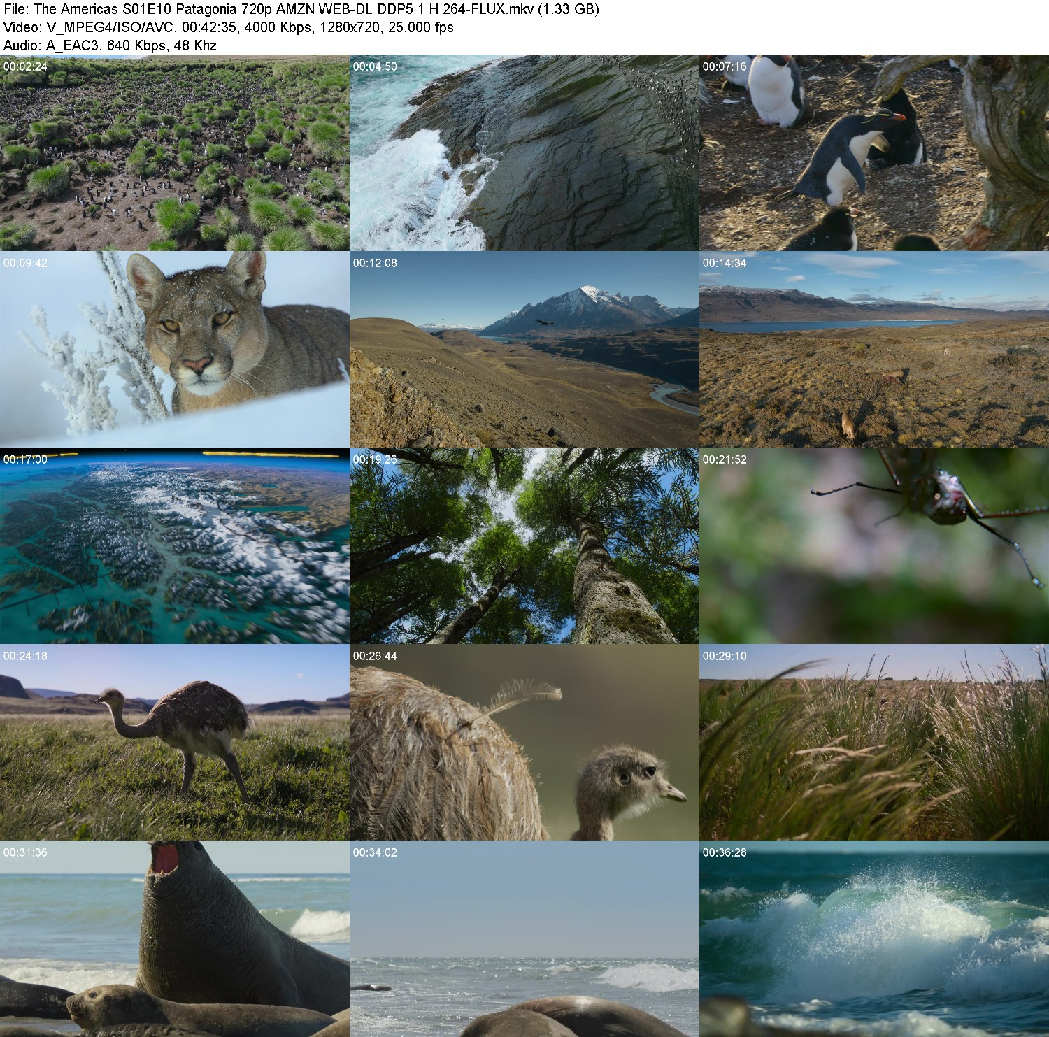 [Image: 7c5qdu33kzet.jpg]