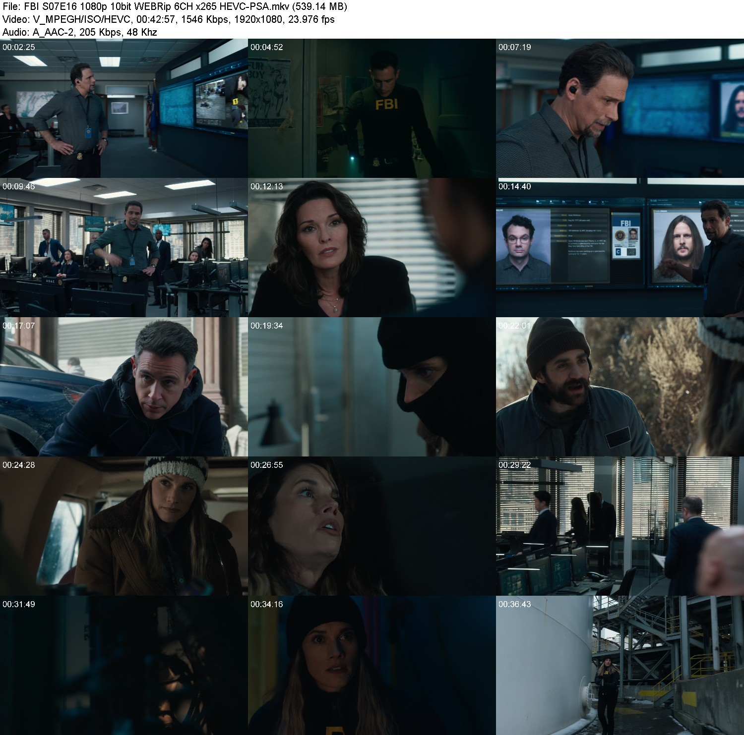 [Image: pavmo55i42cm.jpg]