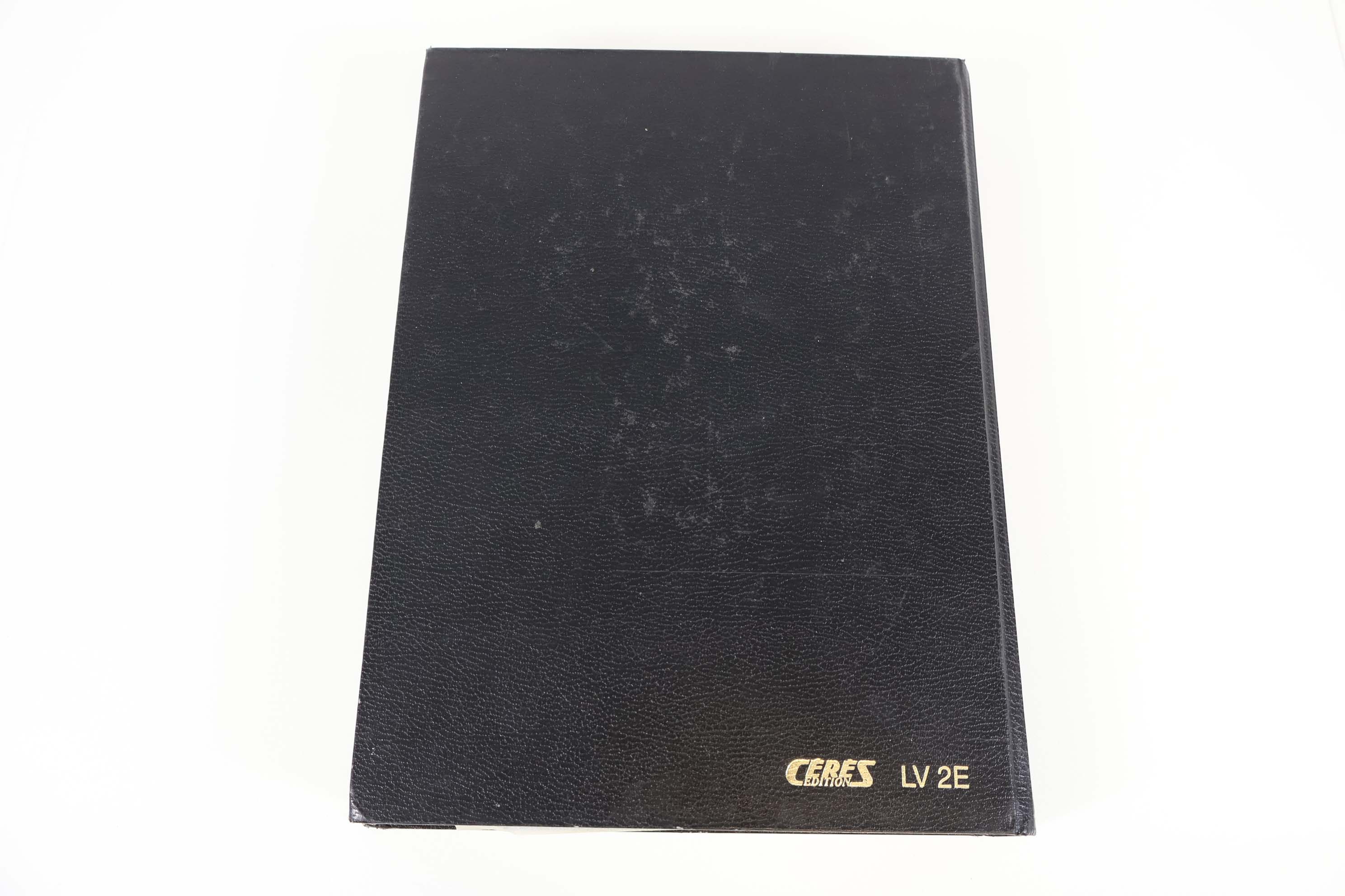 IMG-7831