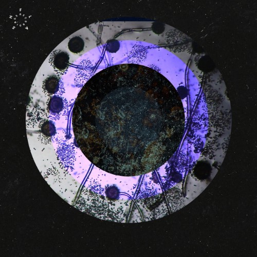 Abnormal Load - Liquid Lunch EP (2026)