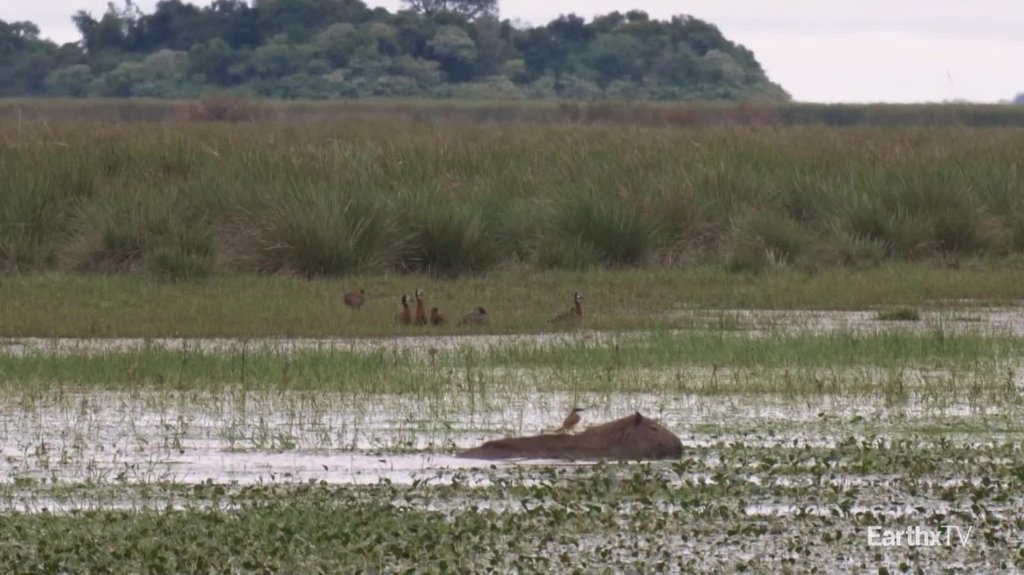 [Image: mrdnd987qiq6.jpg]