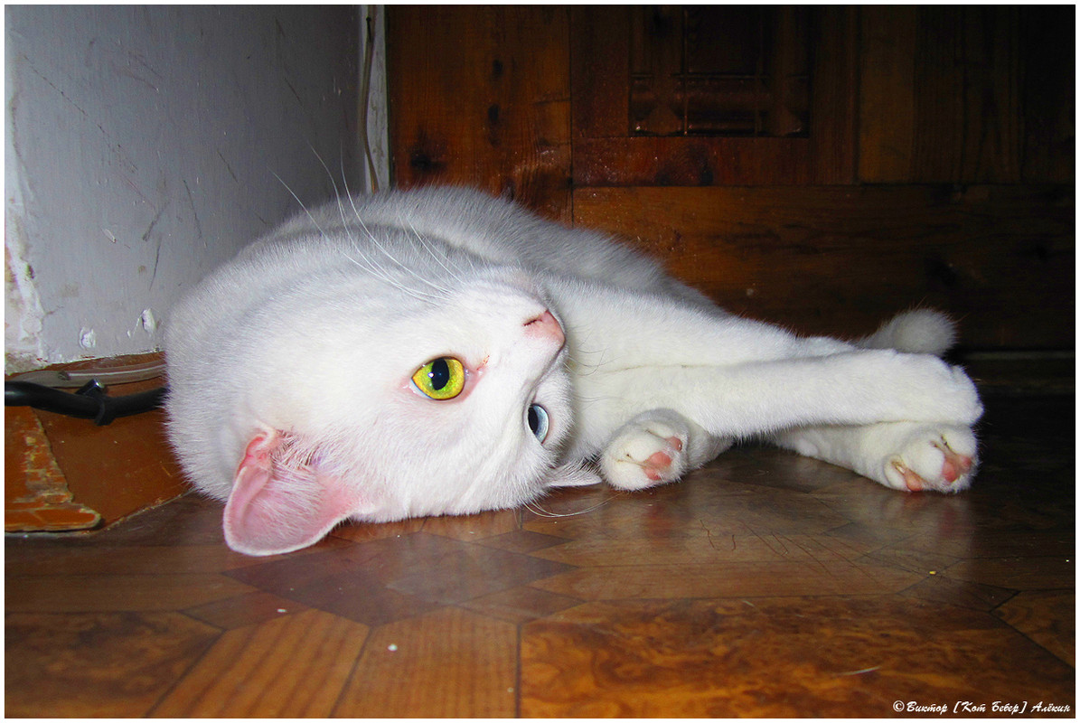 IMG 6997 копия — Postimages