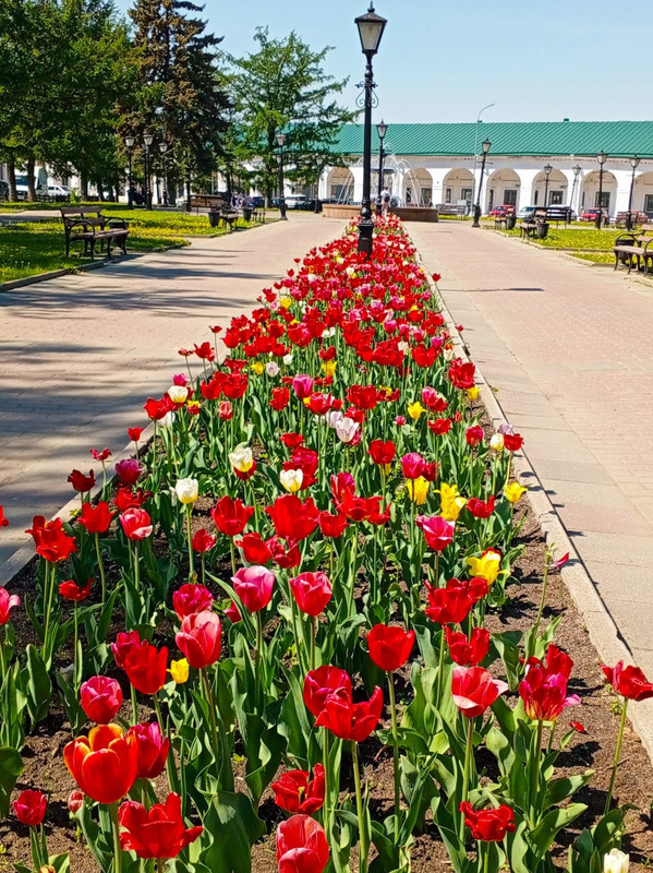 9A6WNtkPa_Af7ERrV9gDOX-FgbQqCf6CvDwi8xOHhjXGTI8Epufu7oLsgjktZBturMWmkw7lypC__wbcoupyPHQy