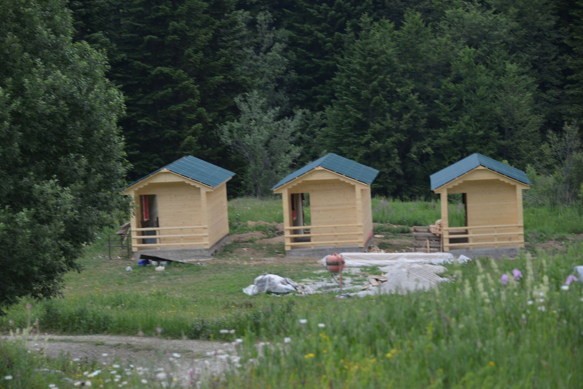 DSC-9615.jpg