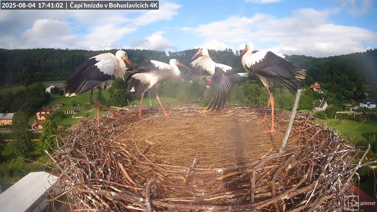 Tiešraide no KARA uzņēmuma stārķu skursteņa Bohuslavicē netālu no Trutnovas 16-53-50 screenshot (1)