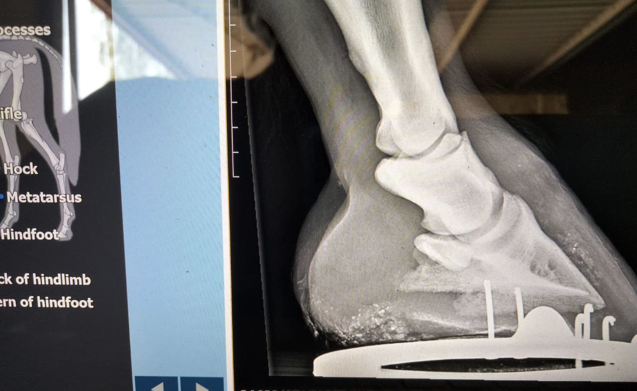 ed389fe2-2229-4709-980f-e6fe26ba69b2