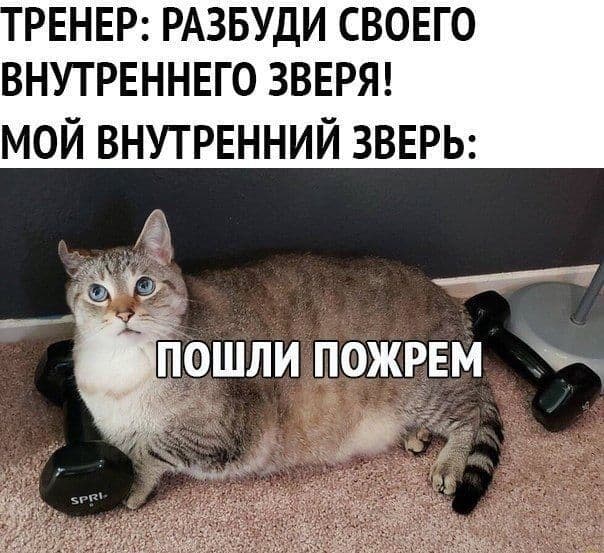 87E27FC9-1F48-49E5-9A07-B1573EE69512