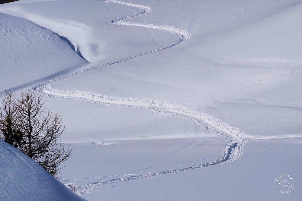 617602561-25480082791614634-6168694684855190939-n