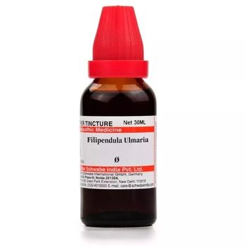 Willmar Schwabe India Filipendula Ulmaria 1X (Q) (30ml)