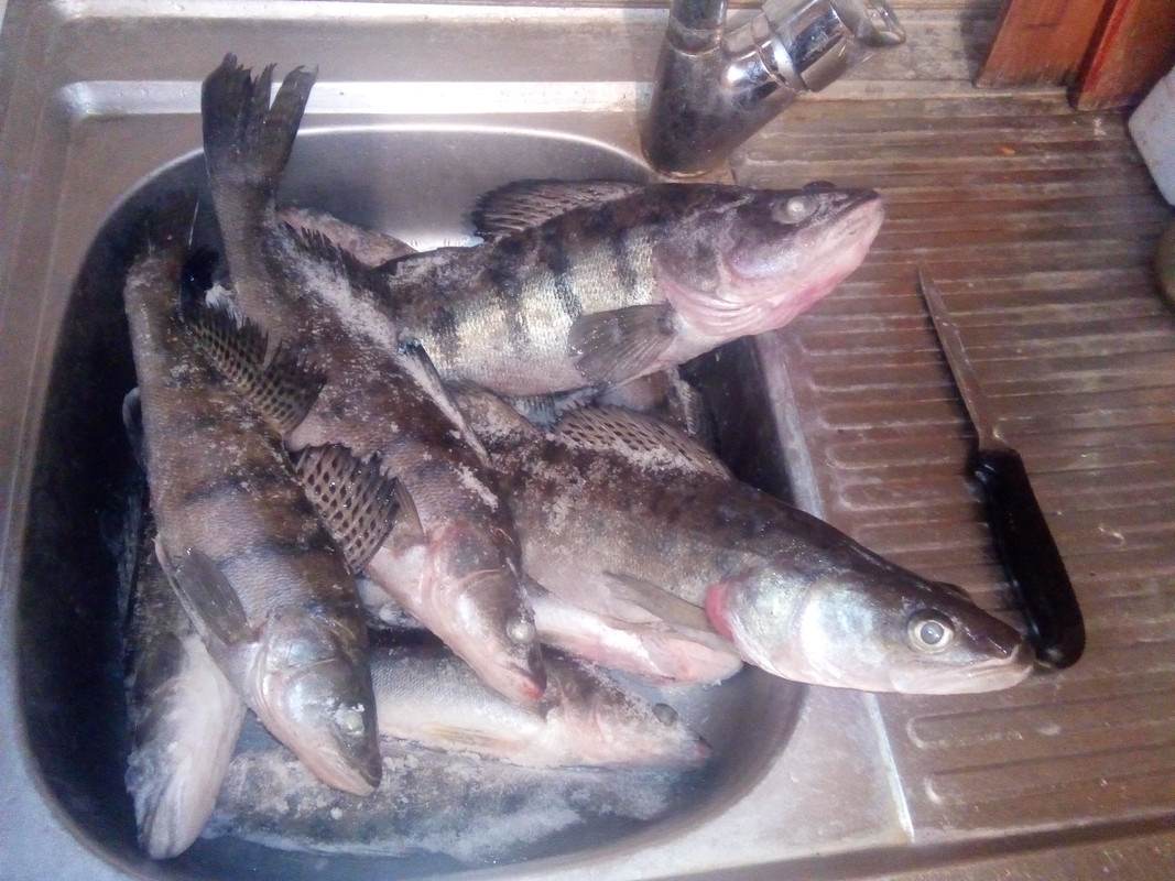 IMG_20180114_182023[1]