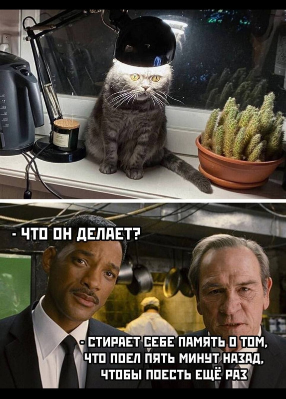 Screenshot_20250128_121728_org.telegram.messenger_edit_61810204505066