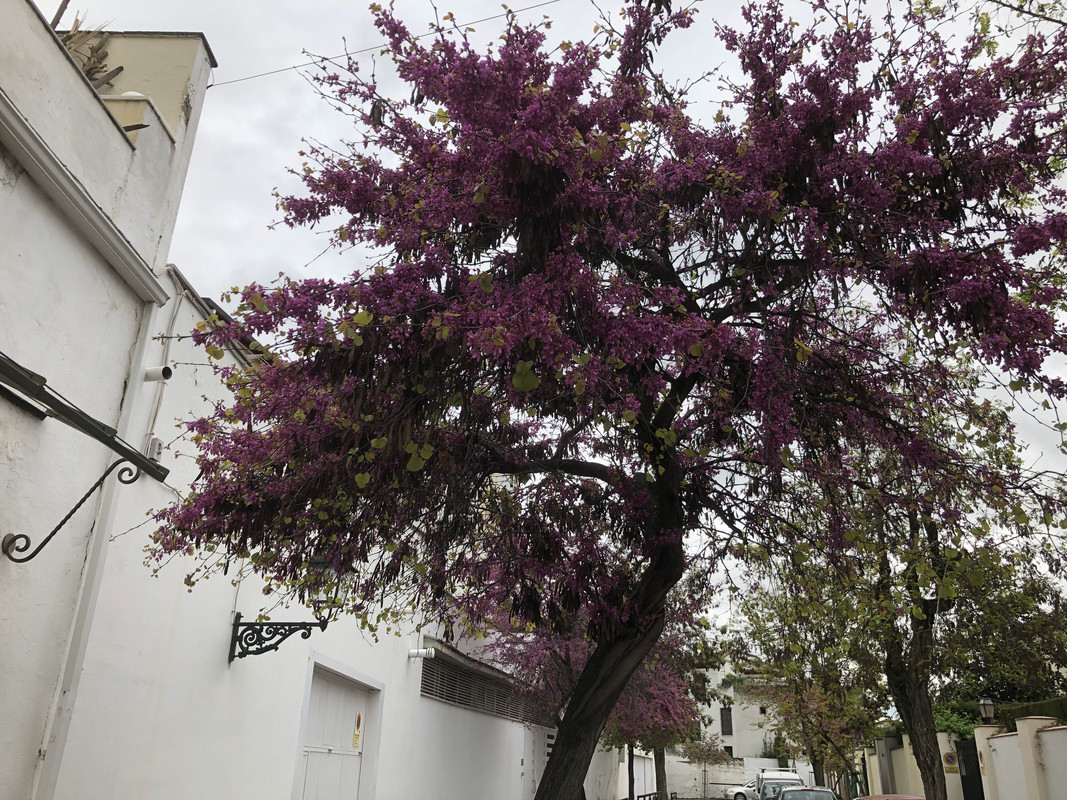 572243D6-8E66-4B78-BA72-1A7948019F7B