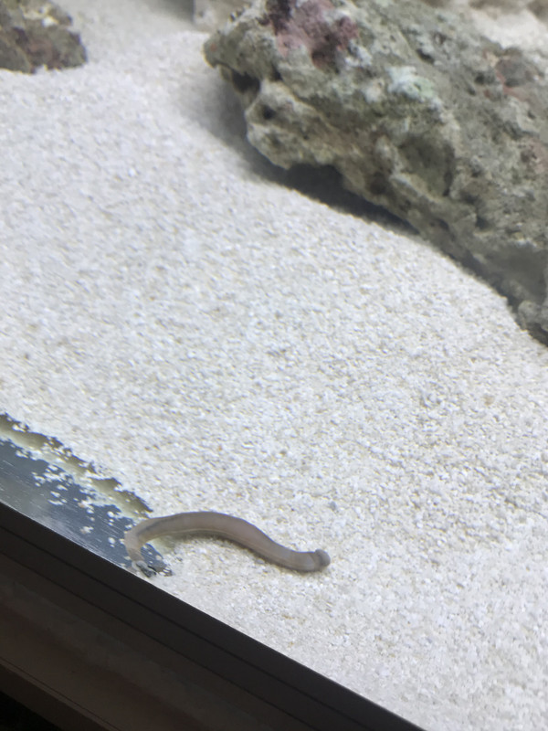 0049C730-B85B-441F-A8CF-C3D114CF5A7A