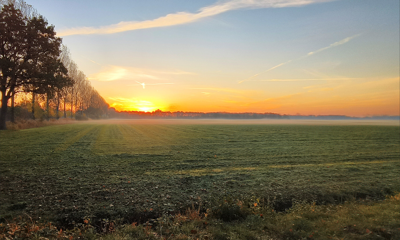 Lumii 20251107 075325562