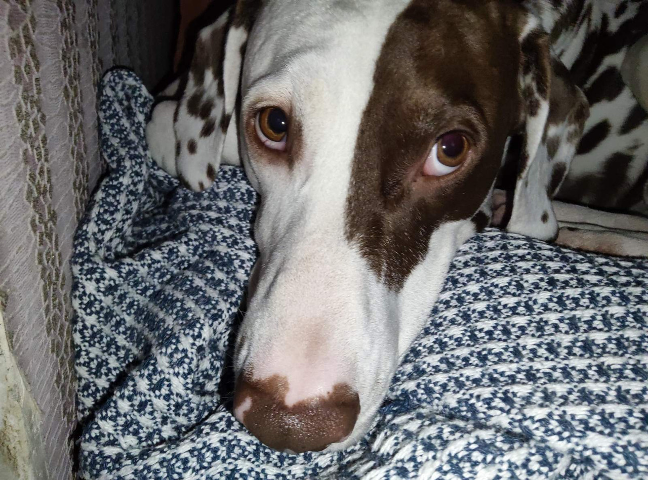 viber image 2026 02 18 17 14 11 741