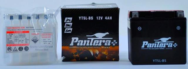 YTX5-L-BS-PANTERA