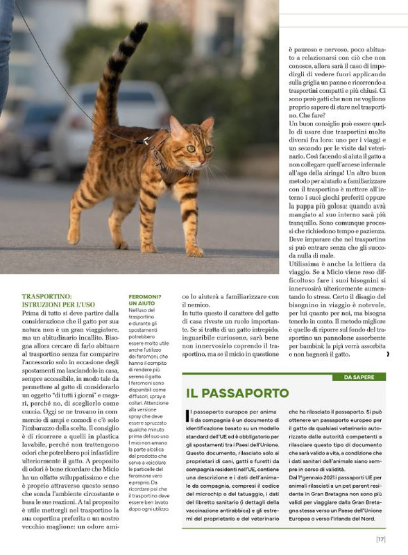 Ga Ma Giu-Lug 2025 (2)