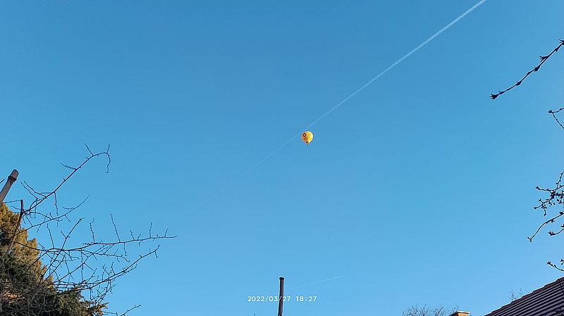 https://i.postimg.cc/Vk2r66B9/leghajo-2022.jpg