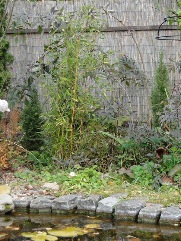 DSC00426