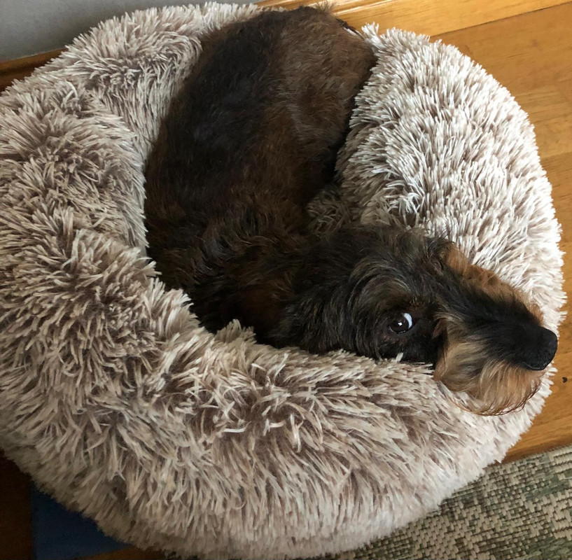 [Image: IMG-20240709-WA0004.jpg]