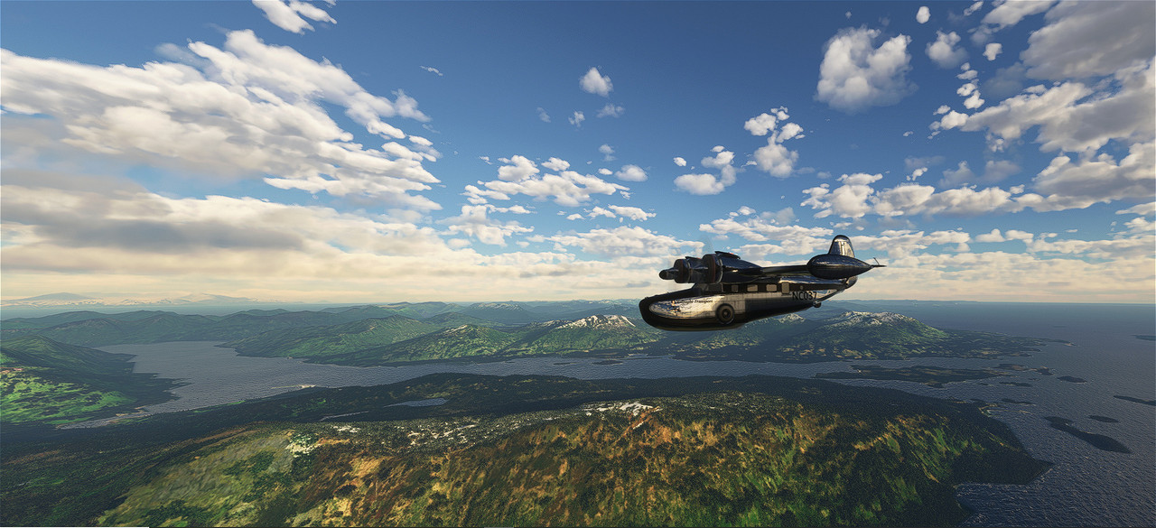 Goose-12.jpg