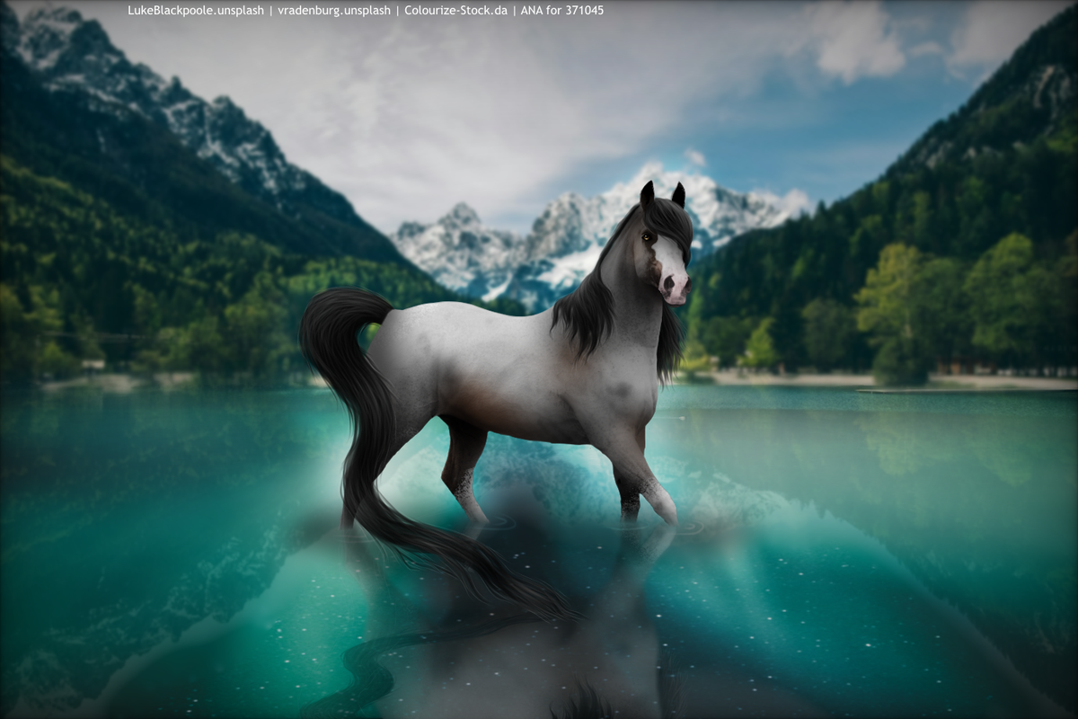 Zonder titel84_20240812153450