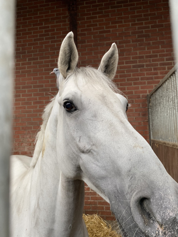 A27AE15E-C8A0-4FD2-B57C-0C32AA0C2921