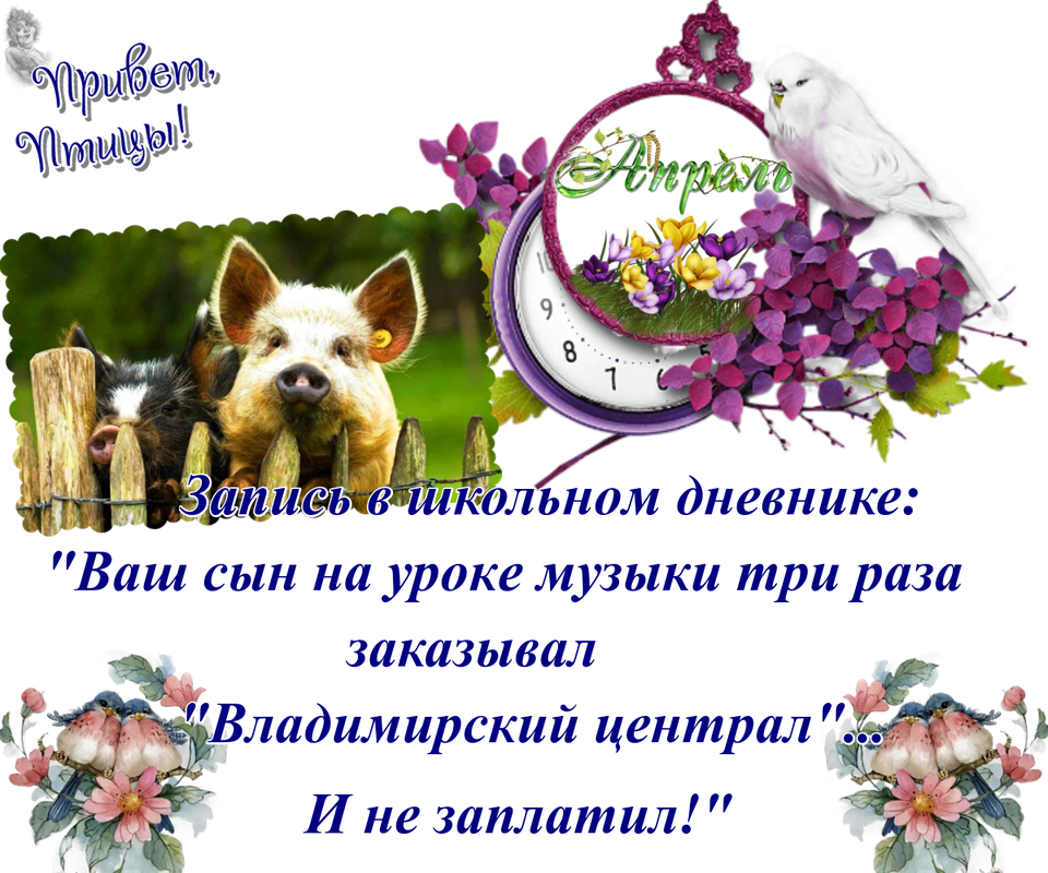 https://i.postimg.cc/Vk3KHT42/13-04.png
