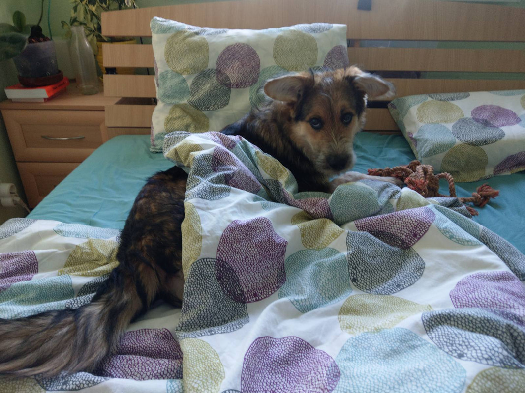 изображение_viber_2020-06-07_13-49-35