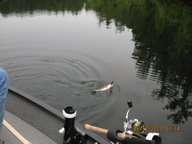 IMG-5977.jpg