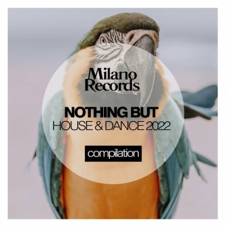 VA - Nothing but House & Dance 2022
